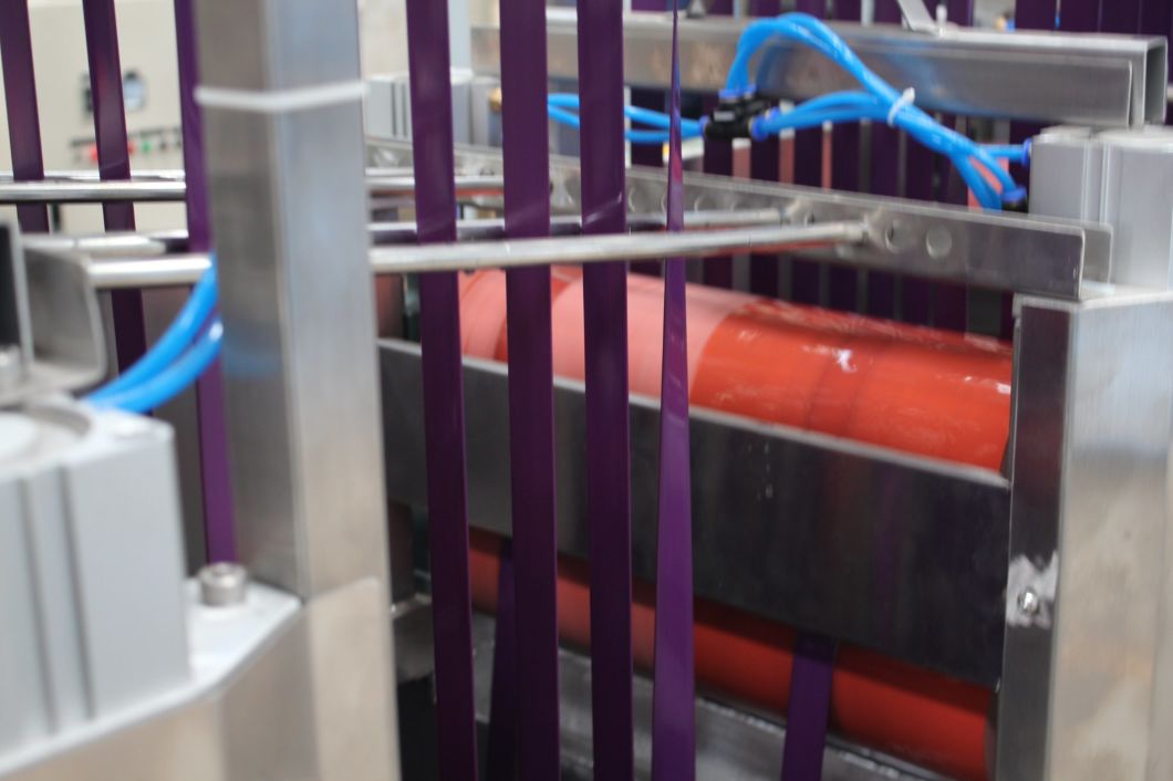 Nylon Webbing Luggage Webbing Continuous Dyeing Machine