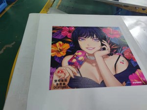 Hot Sale Digital Oval Screen Printing Machine for Tshirt